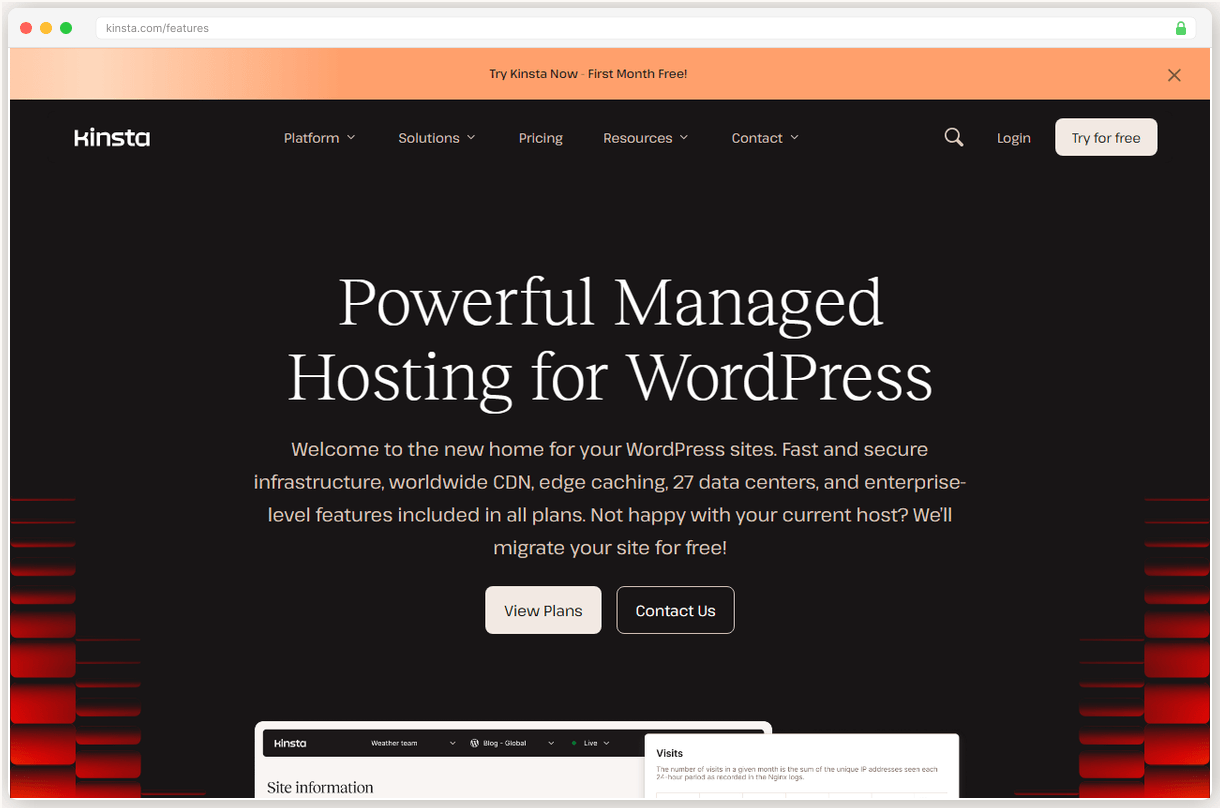 Kinsta dashboard showing performance monitoring features